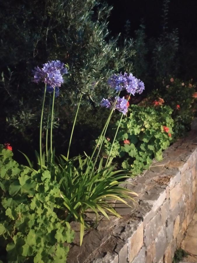 Nefeli Villas Hersonissos  Dış mekan fotoğraf