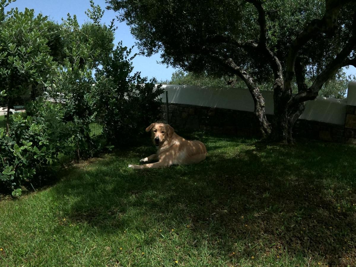 Nefeli Villas Hersonissos  Dış mekan fotoğraf