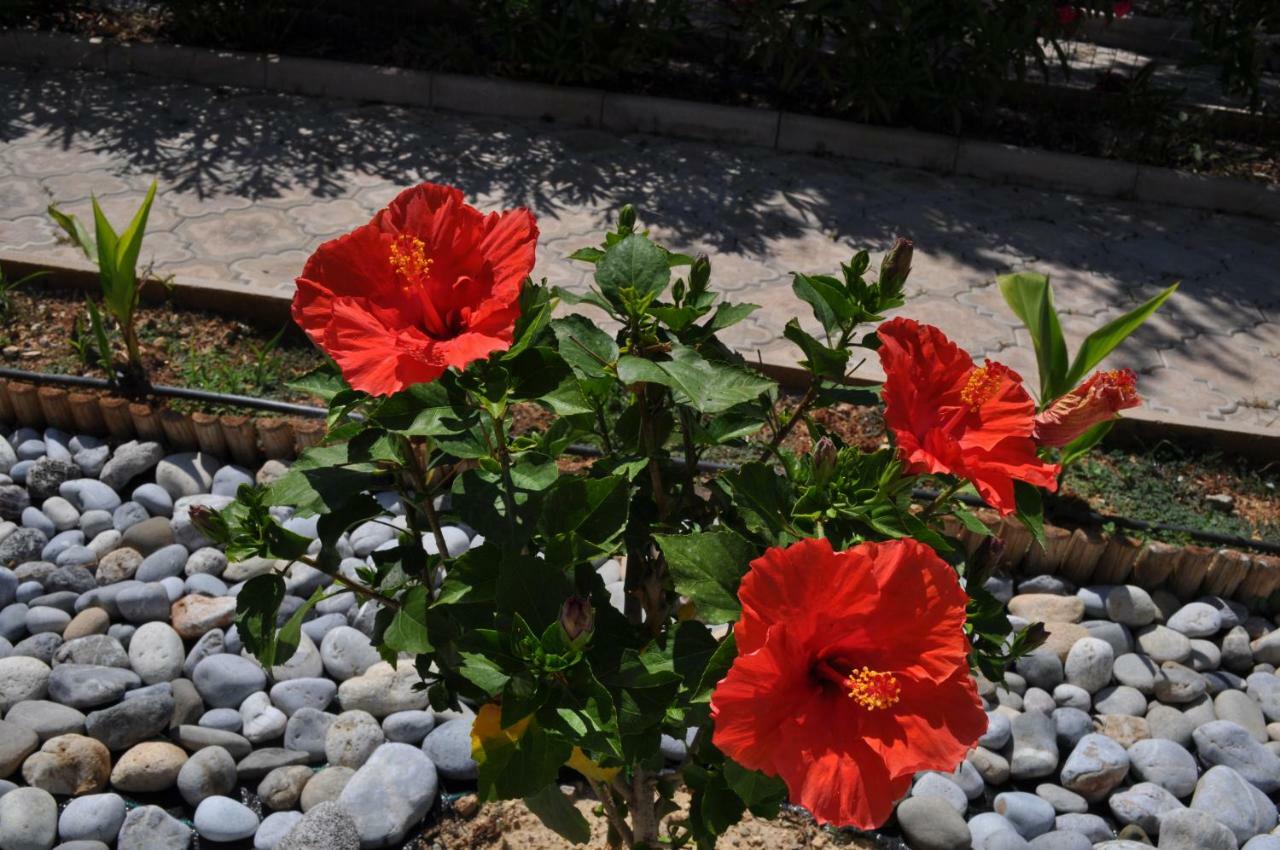 Nefeli Villas Hersonissos  Dış mekan fotoğraf