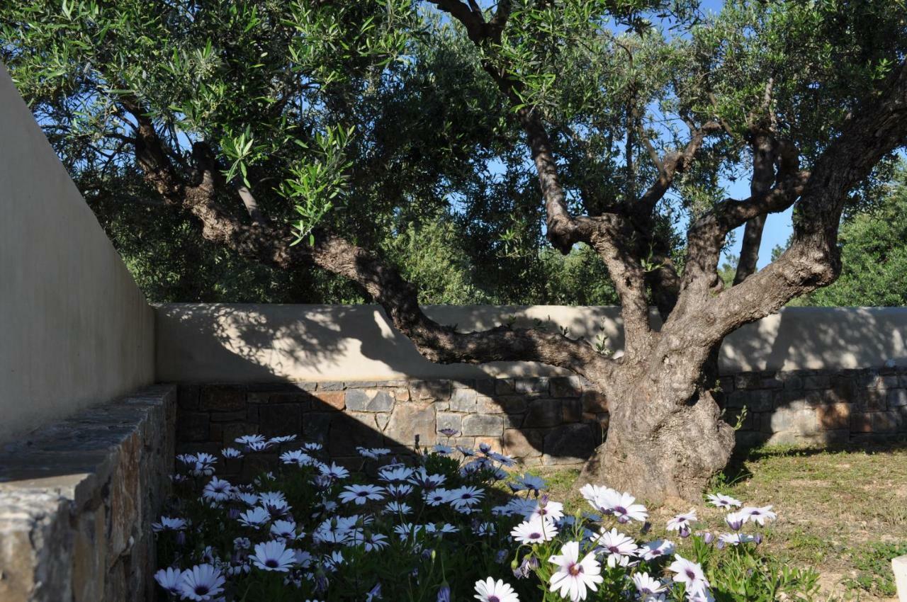Nefeli Villas Hersonissos  Dış mekan fotoğraf